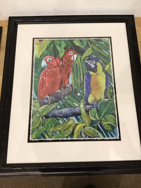 28"x23" Macaw & Parrot Tropical Art Print