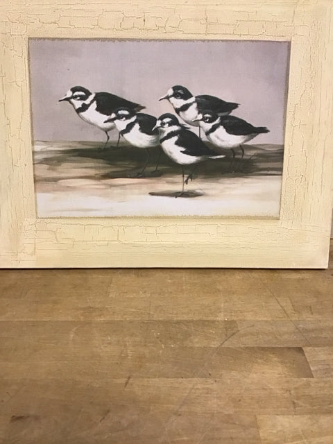 18"x14" 3 Ringed Plover Bird Art