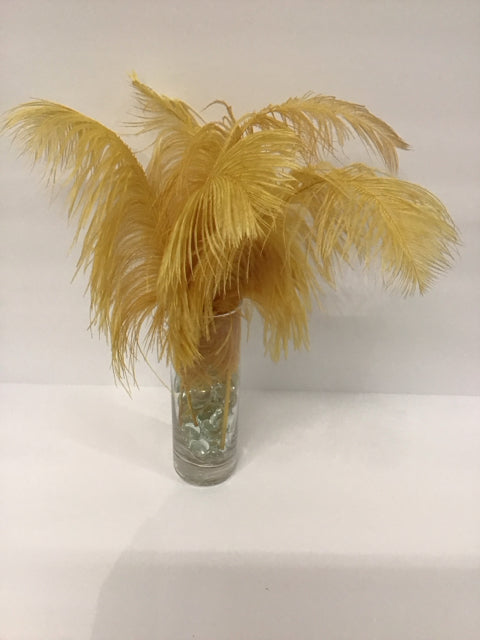 7"Rd Glass Vase w/Feathers