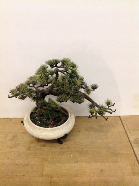 Faux Bonsai Tree in Crackled White Planter