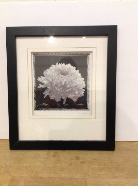 15x17" Original Flower Print on Paper S/N