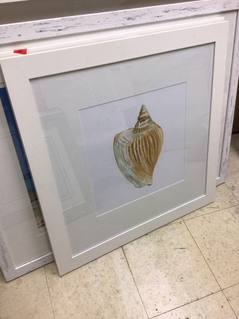30" Square Ethan Allen White Framed Shell Print