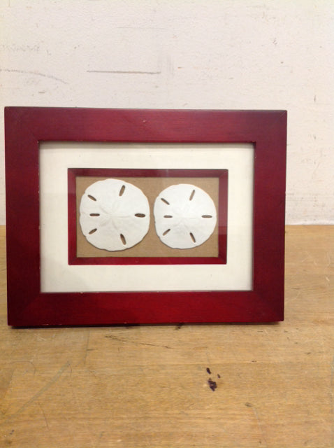 3x5 Framed Sand Dollars