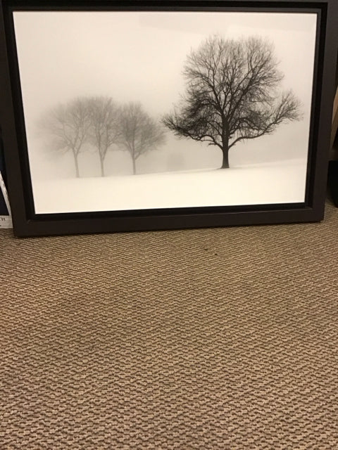 41"x29.5" Winter Sun Sepia By Ilona Welllman Art