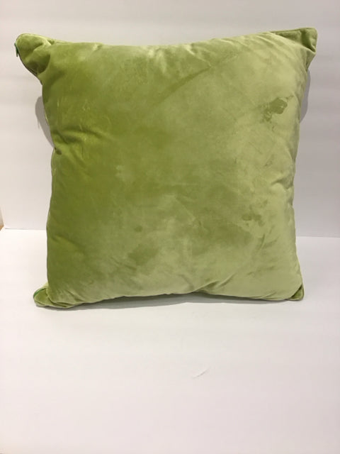 Green Velour Pillow