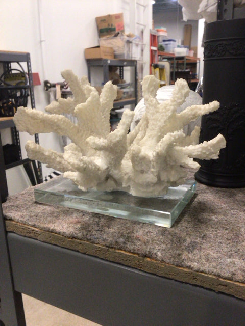 5" Coral On Glass Base