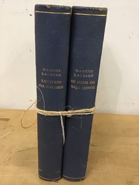 Set Of 2 Decorative Books