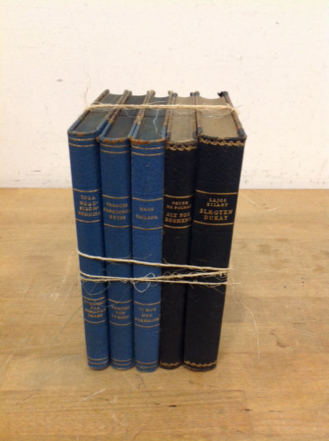 Set Of 5 Decorative Books