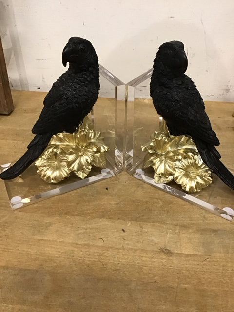 Pair Of 8"x10" Black Macaw W/Gold Florals Bookends
