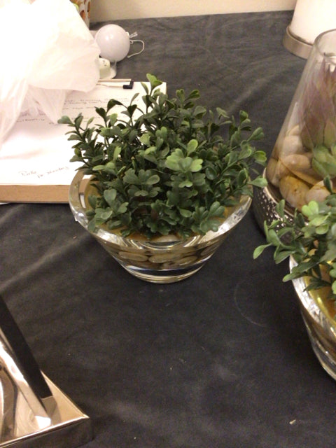 Crate & Barrel Faux Topiary In Glass Vase