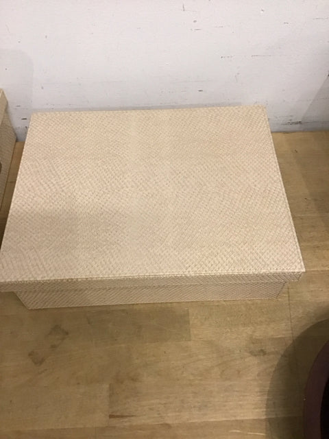 12"x4" Beige Textered Snake Pattern Document Box