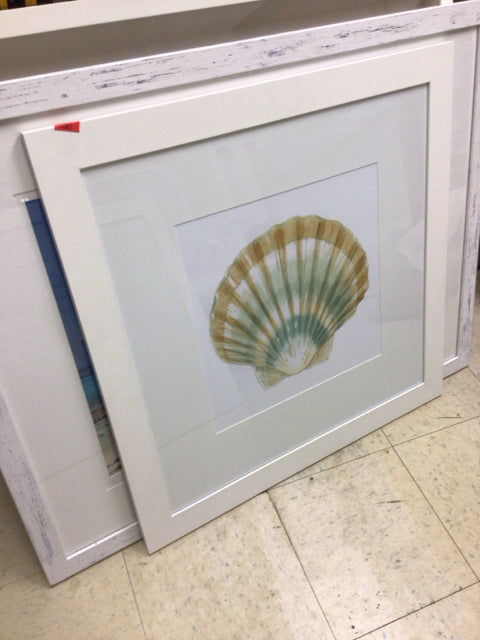 30" Square Ethan Allen White Framed Shell Print