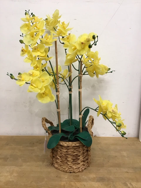 36" Yellow Faux Orchids In Woven Basket