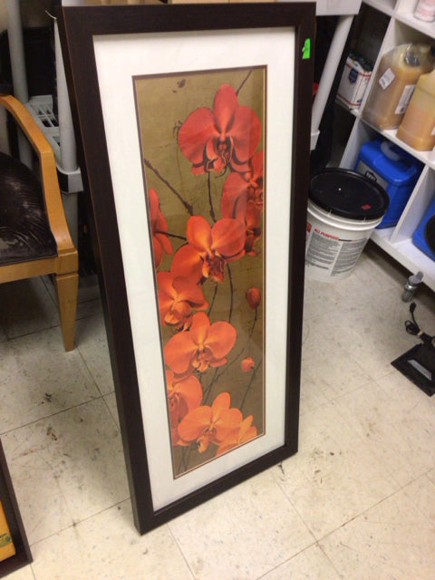 18 1/2" x 42 1/2" Espresso Framed Orchid Print