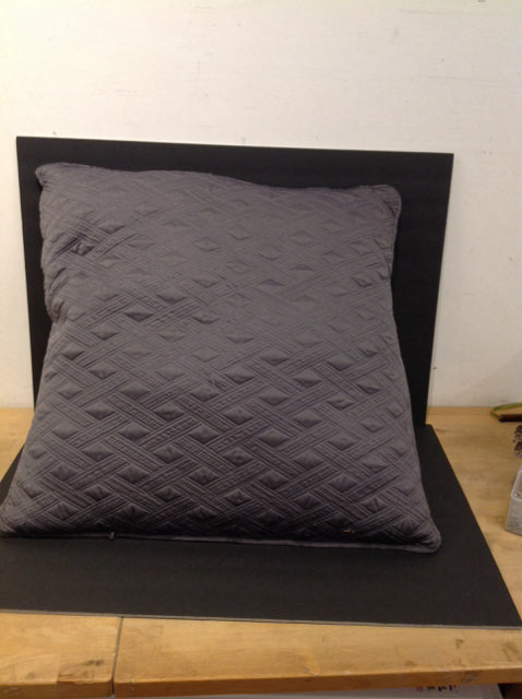 Grey Silk Pillow w/Stitched Design