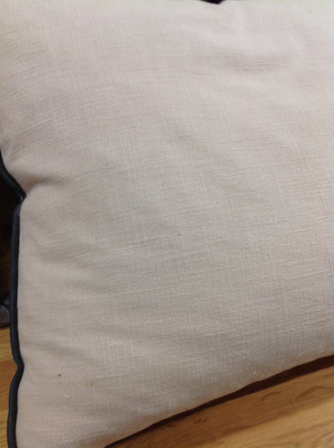 Pillow- 20" Line Blue Trim