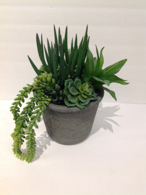 Faux Succulents in Grey Clay Vase