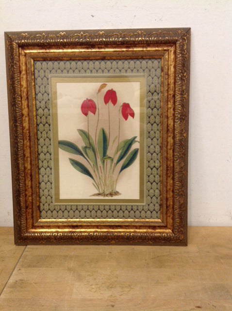 19x15.5 Framed Lindenia "Red Tulip Study"