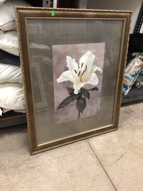 36 1/2" X 44 1/2" Gold Framed Floral Print