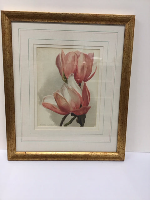 15x18 Framed Magnolia Art