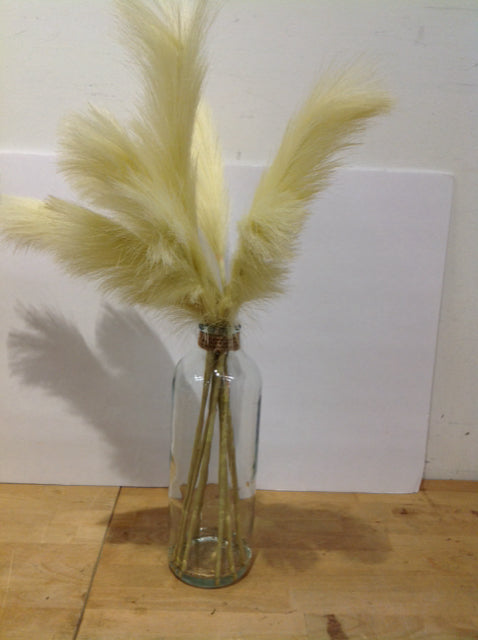 13" Faux Pampas Grass in Glass Bottle
