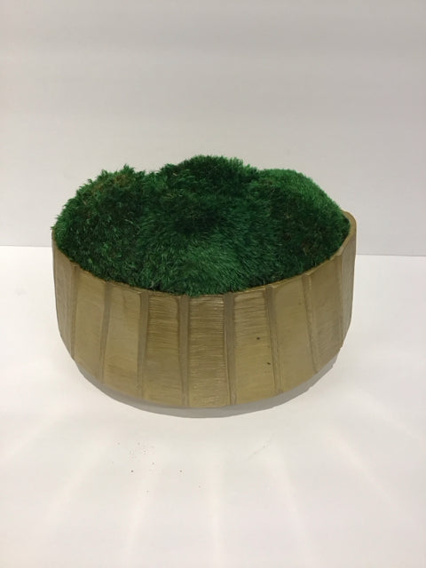 Gold Metal Planter w/Preserved Moss