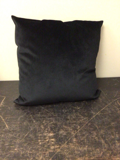 Black Velvet Pillow