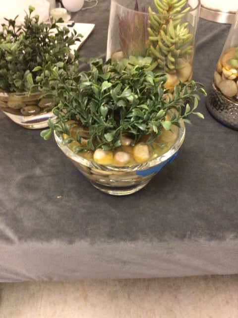 Crate & Barrel Faux Topiary In Glass Vase
