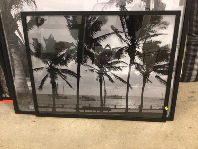 50" X 39" Black & White Framed Miami Print