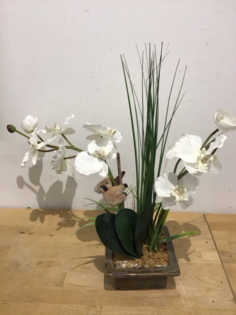 White Orchid With Koala Bear In Ceramic Planter