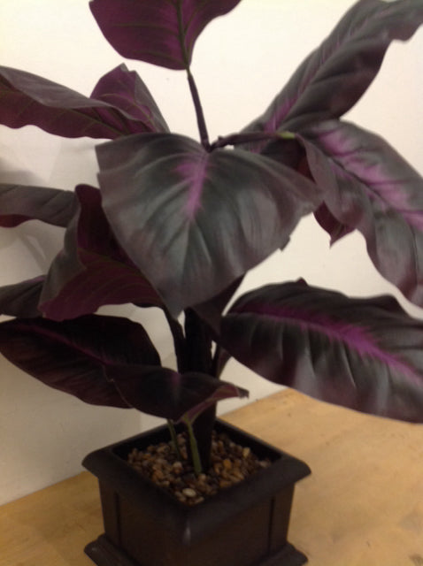 30" Purple Silk Leaf Plant