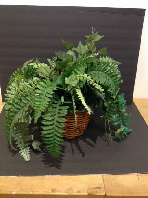 Silk Ferns in Wicker Hanging Basket