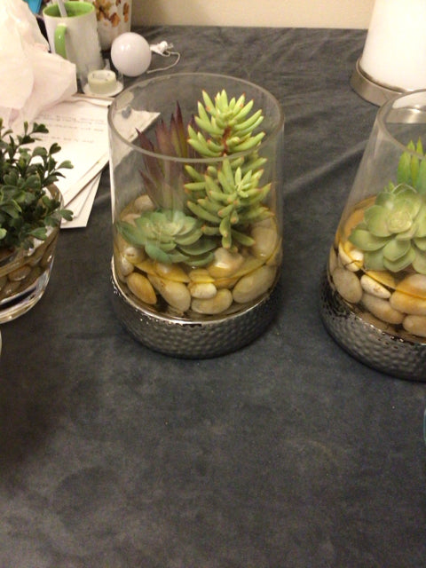 2 PC Faux Topiary In Glass Hammered Chrome Base
