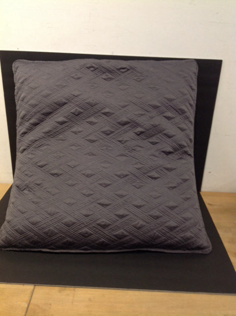 Grey Silk Pillow w/Stitched Design