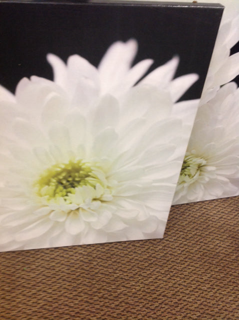 24" Sq Set Of 2 White Flower Canvas Art