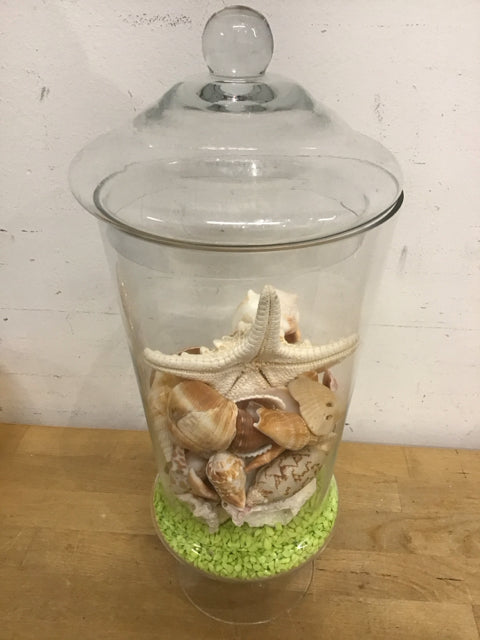 15.5" Clear Glass Jar W/Shells