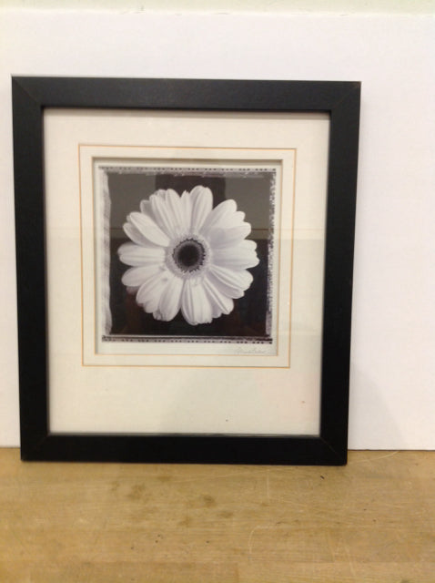 15x17" Original Flower Print on Paper S/N
