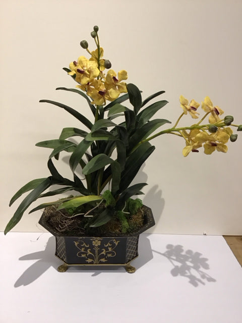 Yellow Orchids Black/Gold Footed Planter