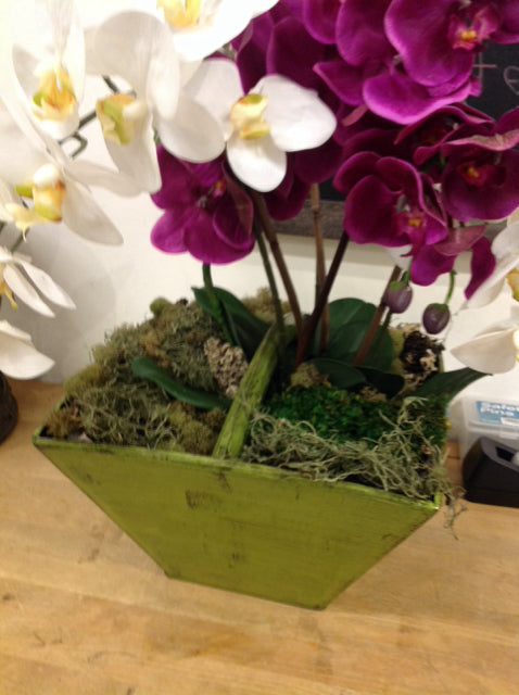 22" Purple & White Orchid In Green Planter