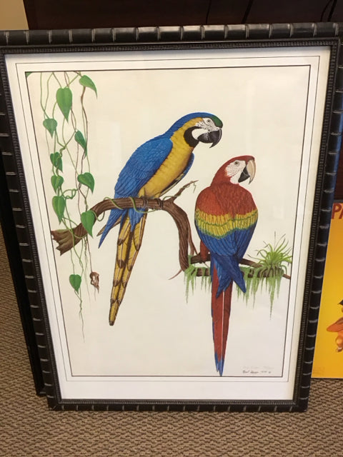 35"x26" Blue & Yellow Macaw Art