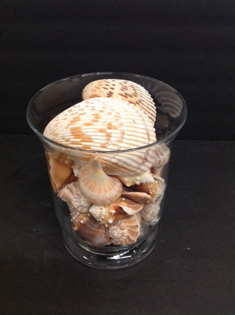 8" Open Glass Jar w/Sea Shells