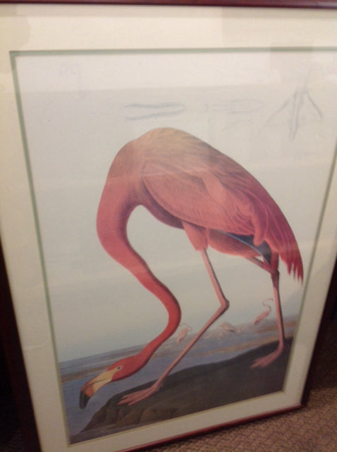 30" X 43" Pink Flamingo Print