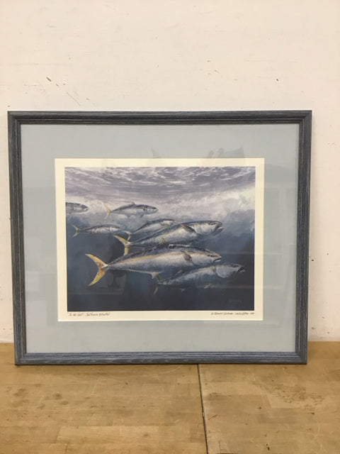 25x22 "In the Surf-California Yellowtail"