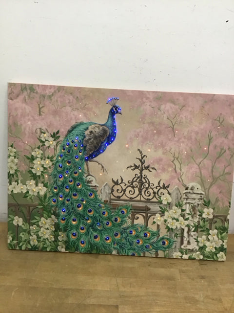 24"x18" Peacock Lighted Art