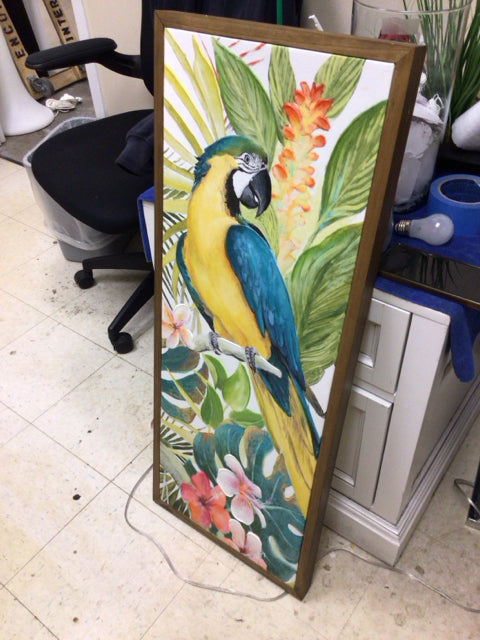 15 1/2" X 39" Framed Macaw Print On Canvas