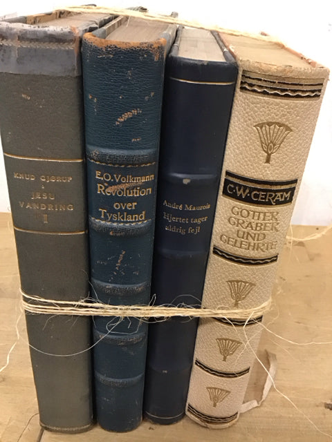 Set Of 4 Decorative Books