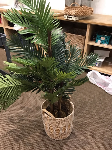 62" Silk Ferns in Woven Basket