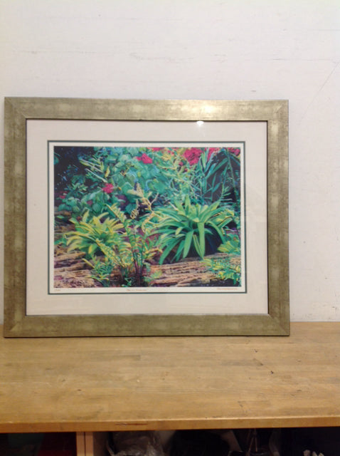 40x34 Framed "Bromeliads" C Agnostic S/N
