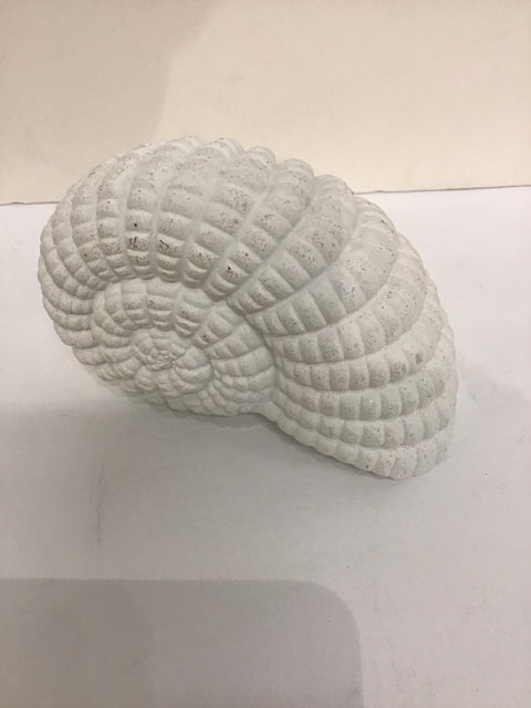 8" White Resin Nautilus Shell