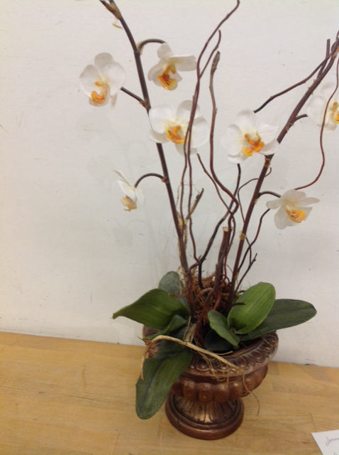 23" White Orchid In Gold Pot